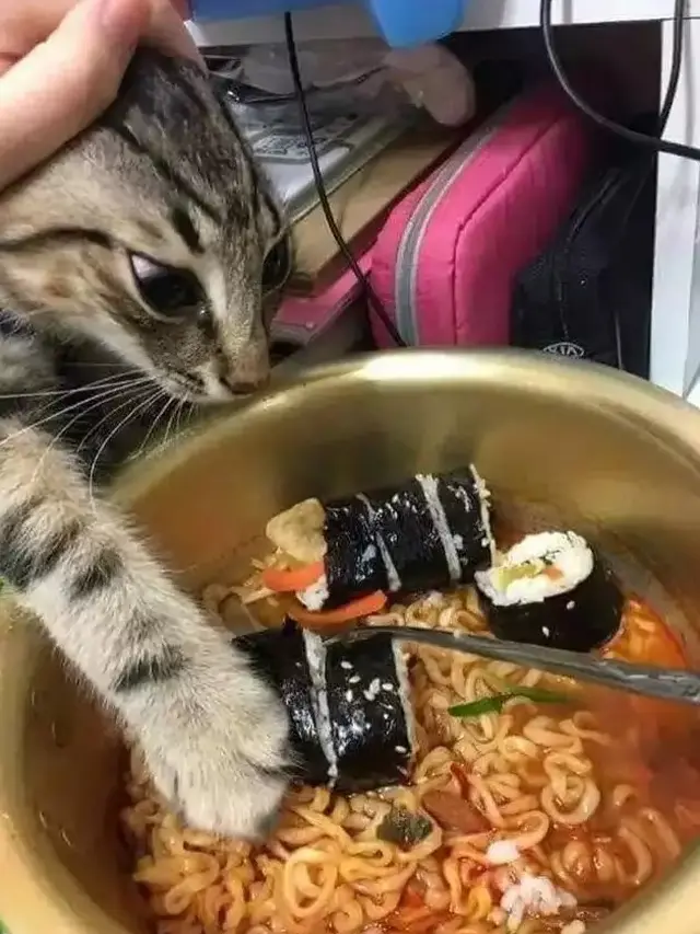 7 Potret Nyeleneh Hewan Suka Makan Mi Ini Bikin Geleng Kepala