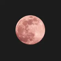 Ilustrasi pink moon di Jepang (Foto: unsplash.com/uomo libero)