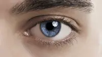 Besar kecilnya pupil mata bisa jadi indikator gairah seksual Anda (sumber. Livescience)