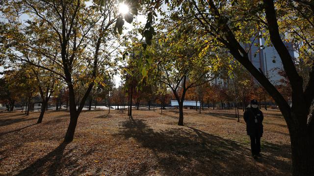 FOTO: Aktivitas Warga Korea Selatan di Tengah Pandemi COVID-19