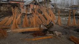 Seorang warga Kashmir mengupas kulit batang anyaman di pinggiran Srinagar, Kashmir yang dikuasai India, Selasa (30/11/2021). Warga Kashmir menggunakan tungku tradisional ini untuk menghangatkan diri selama bulan-bulan musim dingin yang parah. (AP Photo/Dar Yasin)