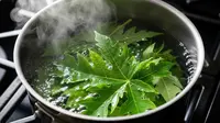 Cara Menghilangkan Rasa Pahit Daun Pepaya