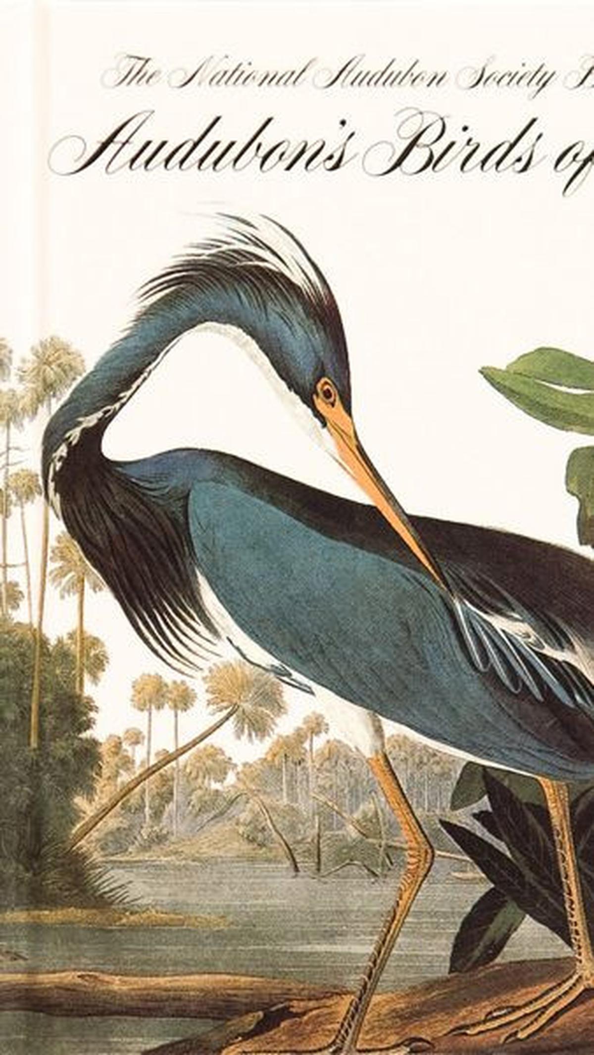 9. Birds of America<br>