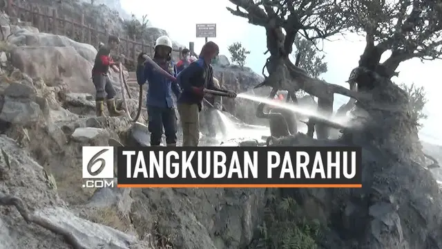 Hari Kamis (1/8) rencananya lokasi wisata Tangkuban Parahu akan kembali dibuka. Saat ini petugas masih bekerja keras bersihkan abu vulkanik. Simak kondisi terkininya.