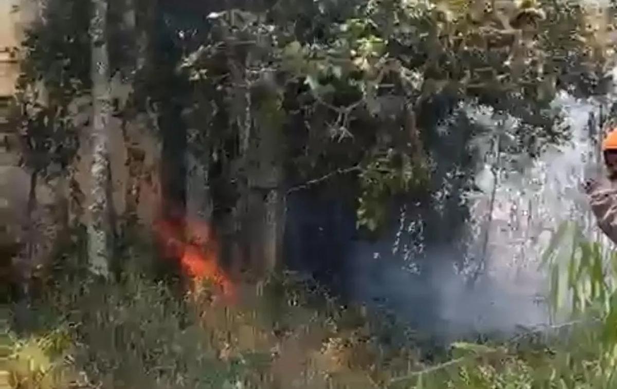 Upaya BPBD Karanganyar padamkan kebakaran Gunung Lawu