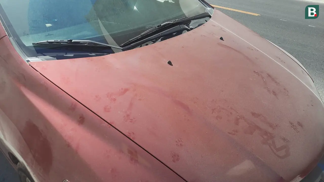 Mobil Kotor di Jalanan Qatar