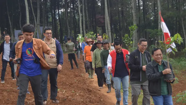 penanaman bibit pohon