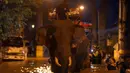 Media setempat melaporkan, upaya untuk mengevakuasi gajah dan hewan lain dari beberapa tempat perlindungan dan taman di pinggiran kota terus berlanjut. (AP Photo/Wason Wanichakorn)