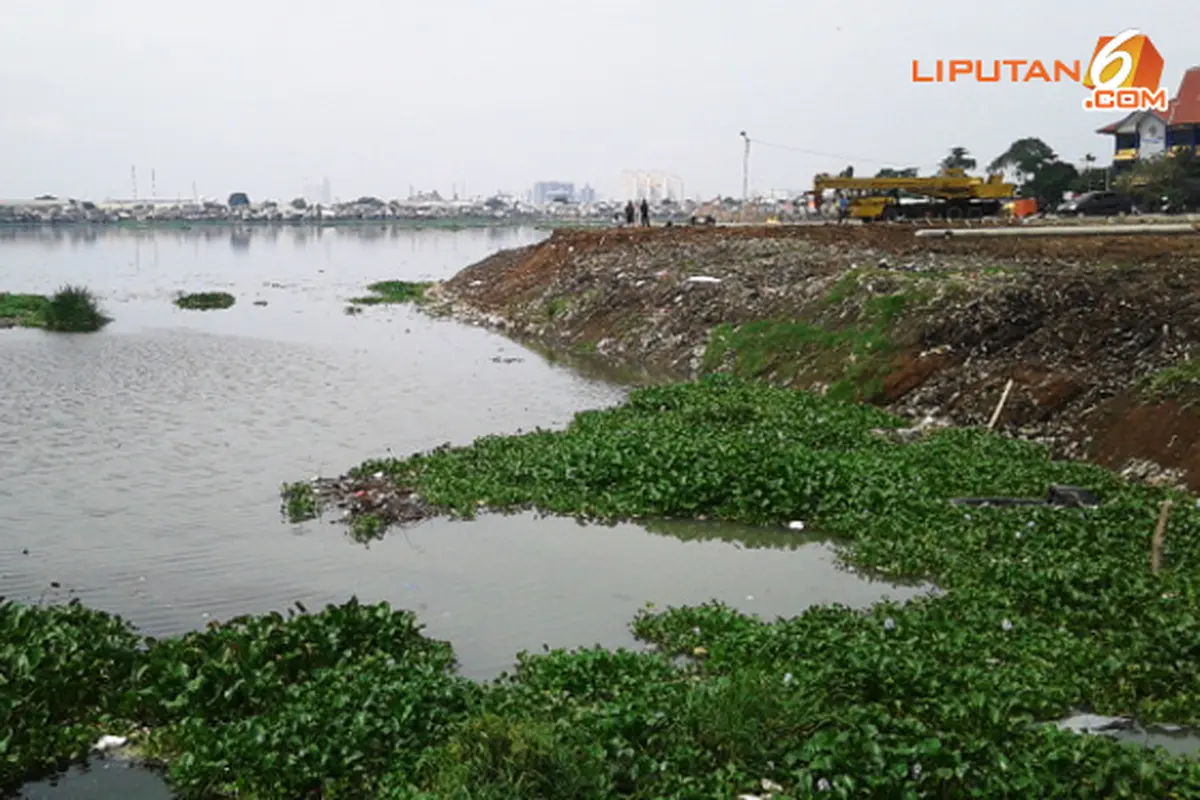 waduk-pluit-130706b.jpg
