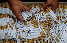 Hati-Hati, Rokok Kemasan Polos Mudah Ditiru Rokok Ilegal dan Penerimaan Negara Bisa Hilang