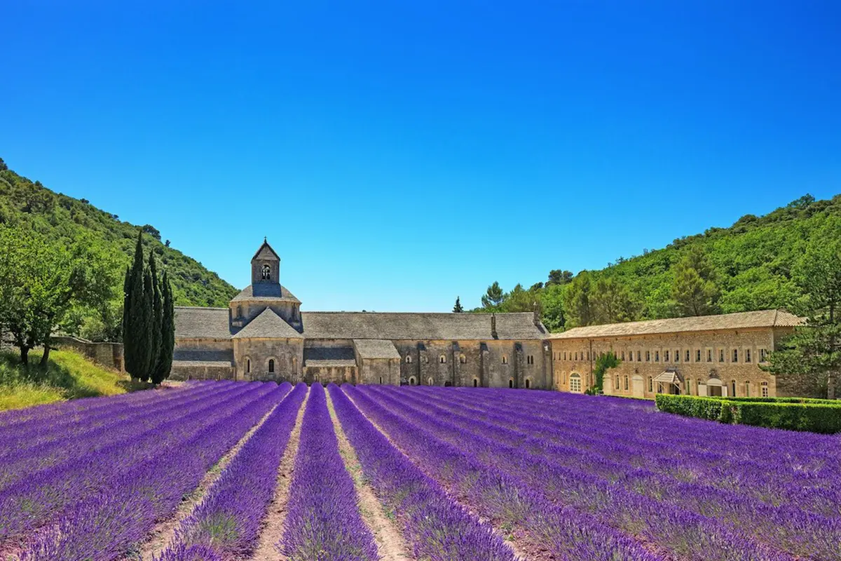 Ritual Wajib Saat Kunjungi Kota Parfum Dunia, Grasse, Perancis