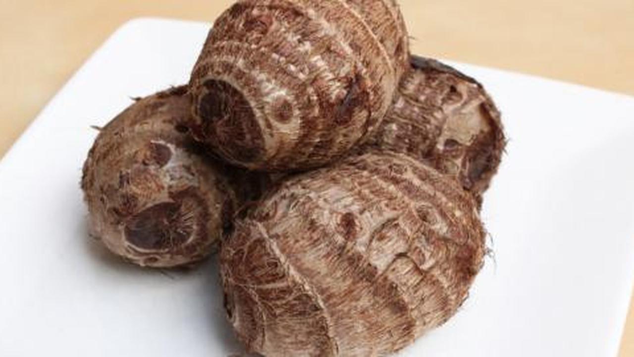 10 Makanan kaya vitamin E