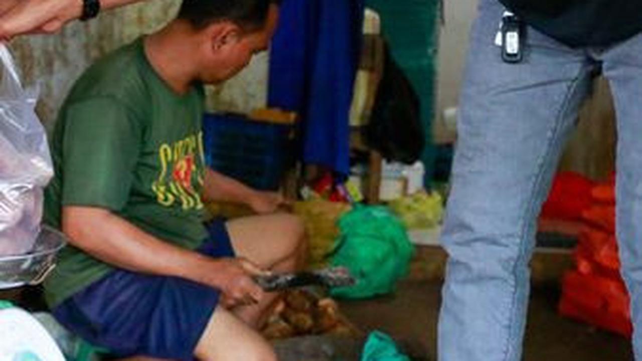 Mengaku Senang Jika Followersnya Terhibur