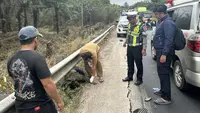 Detik-Detik Kecelakaan Maut di Mesuji, Motor Terpental hingga Terbakar