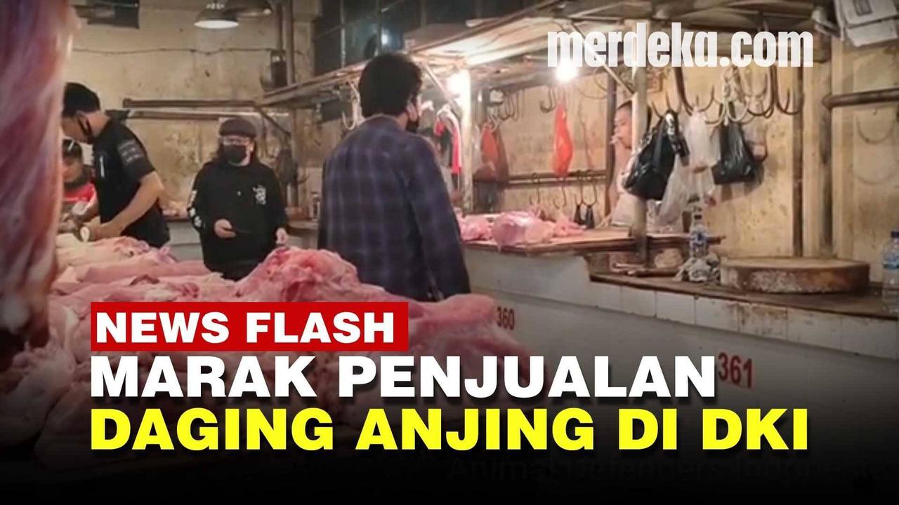 VIDEO: Terbongkar Jual Beli Daging Anjing di Pasar Senen