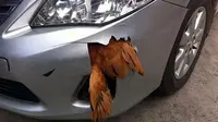 short desc
