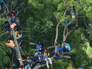Suporter kriket Sri Lanka menonton pertandingan kriket One Day International (ODI) pertama antara Sri Lanka dan India dari atas sebuah pohon di Stadion Kriket Internasional Rangiri Dambulla di Dambulla (20/8). (AFP Photo/Lakruwan Wanniarachchi)