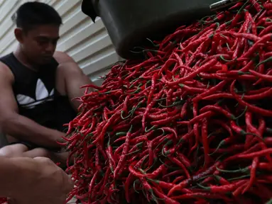 Seorang pedagang memilah cabai di sebuah pasar di Jakarta, Kamis (11/1). Saat ini harga cabai rawit merah naik sebesar Rp 20 ribu hingga Rp 30 ribu per kilogram. (Liputan6.com/Angga Yuniar)