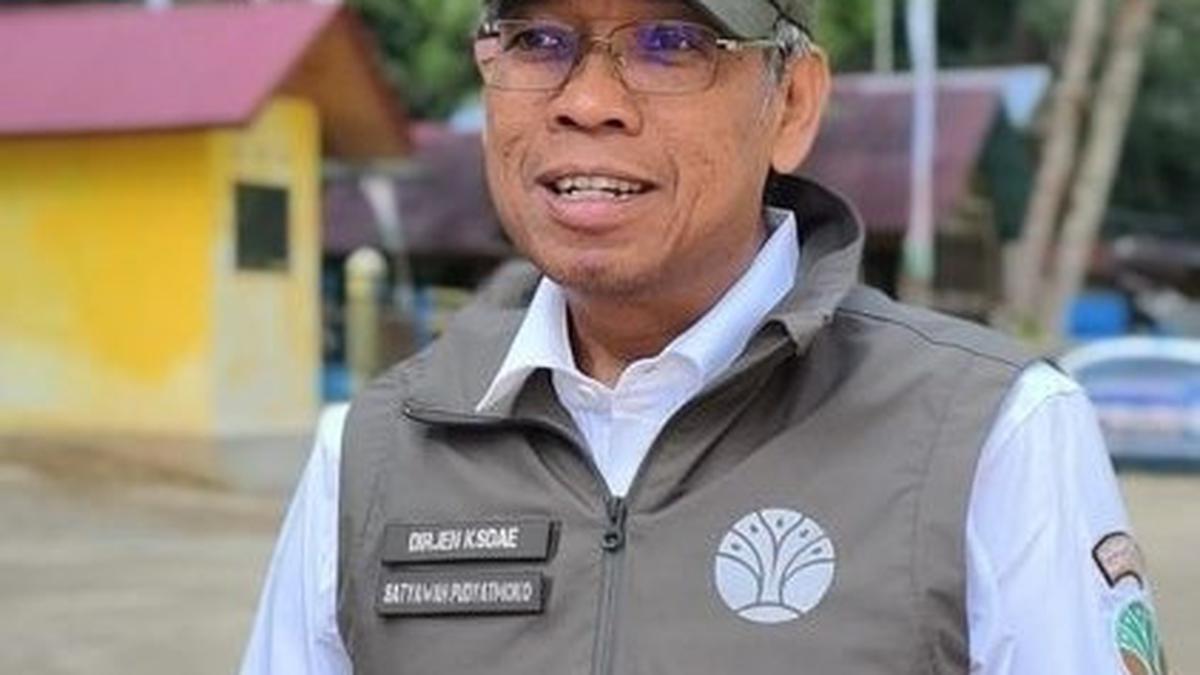 Pemusnahan Mahkota Burung Cenderawasih Diprotes Masyarakat Papua, Kemenhut Minta Maaf