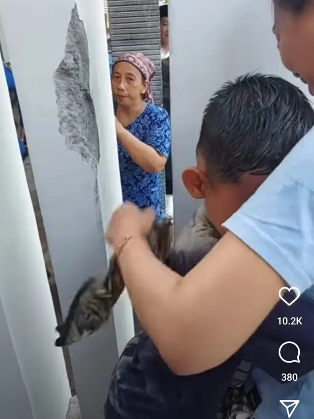 Kepala Bocah Tersangkut