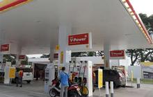 Fakta Shell, Perusahaan Migas Ketujuh Terbesar di Dunia Kini Diterpa Penutupan SPBU
