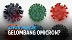 Covid-19 varian omicron terus menyebar di tanah air. Diperkirakan jumlah penyebaran akan lebih banyak dan cepat dibanding varian delta.