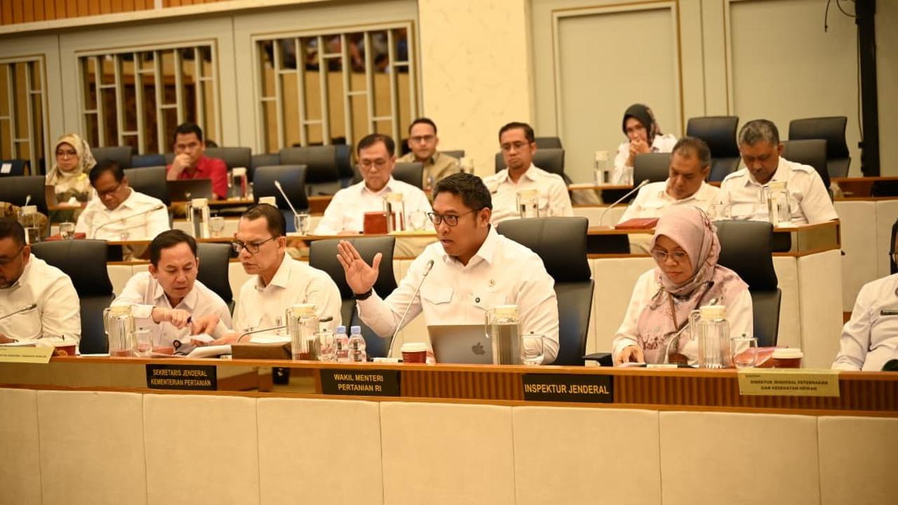 Wamentan Sudaryono saat Raker dengan Komisi IV DPR RI
