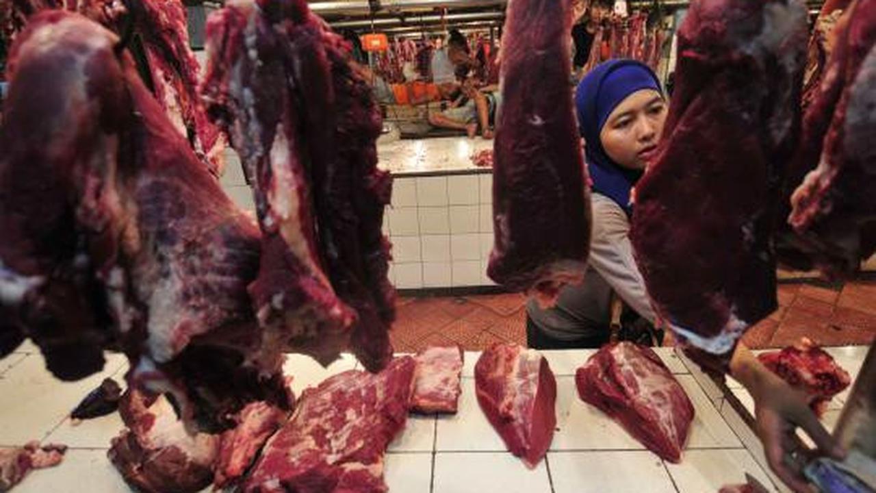 Stok daging sapi dipastikan aman jelang lebaran