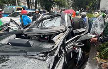 Korban Pohon Tumbang di Jakarta Bisa Ajukan Santunan, Ini Caranya