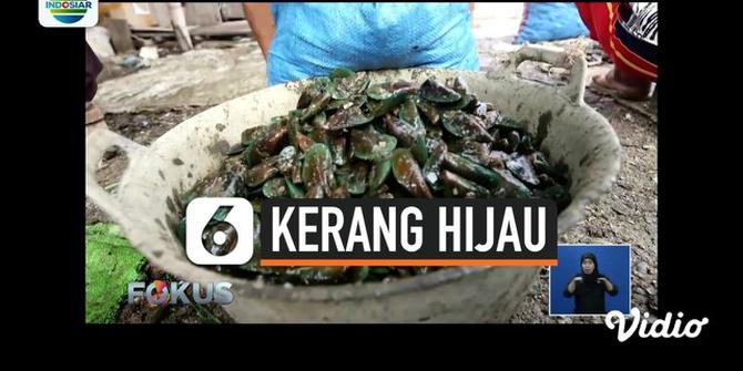 Hoax atau Bukan: Kerang Hijau Teluk Jakarta Berbahaya?