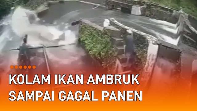 Detik-detik insiden menegangkan terekam CCTV. Terjadi di kolam budidaya ikan di Nagari Tanjung Sani, Agam, Sumatera Barat. Seorang wanita jatuh usai dinding kolam tempat ia berdiri ambruk.