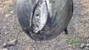 short desc
