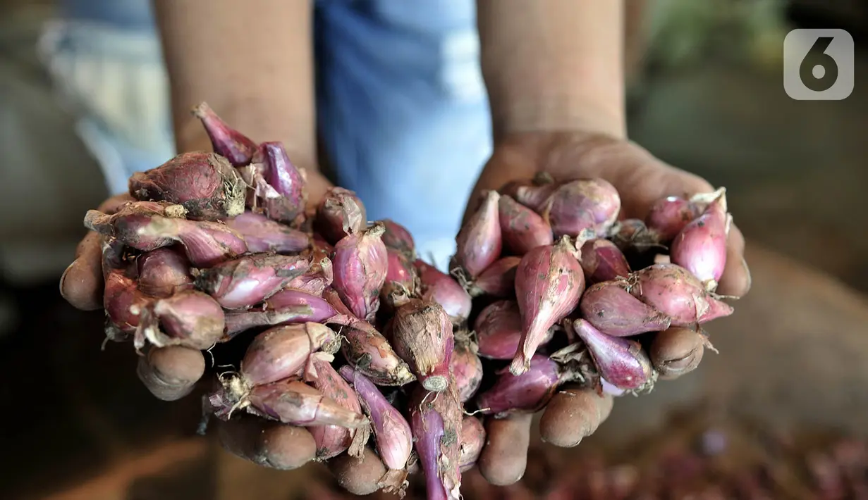 Pedagang menunjukkan bawang merah di Pasar Induk Kramat Jati, Jakarta, Rabu (17/6/2020). Penerapan PSBB yang diberlakukan sejak April-Juni 2020 menyebabkan harga bawang merah merangkak naik Rp 45 ribu-Rp60 ribu per kilogram akibat kelangkaan di daerah pemasok. (merdeka.com/Iqbal S. Nugroho)