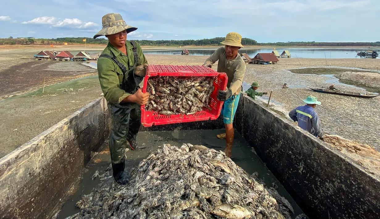 Pihak berwenang sedang menyelidiki insiden tersebut, sambil berupaya segera mengeluarkan ikan yang mati tersebut. (STR / AFP)
