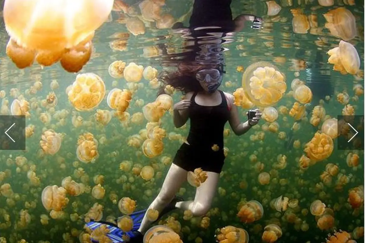 Simak! 10 Foto Alam Favorit di 2015 Versi NatGeo