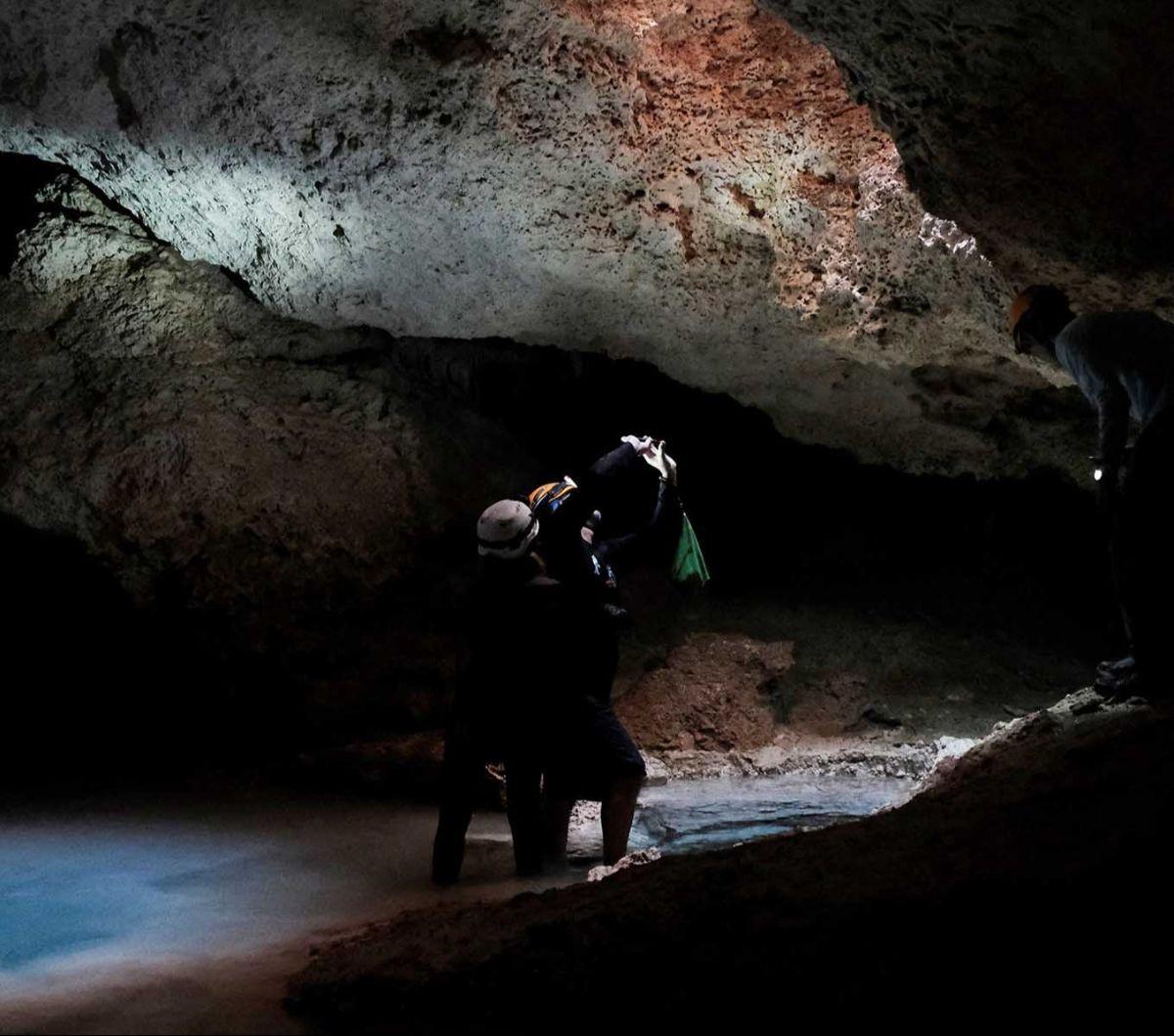 Megaproyek Kereta Maya di Meksiko kembali menjadi sorotan karena merusak gua kuno bawah tanah yang menakjubkan. Sistem gua bernama&nbsp;Aktun T'uyul, yang berada di Playa del Carmen, negara bagian Quintana Roo, Meksiko, menjadi korban pembangunan konstruk