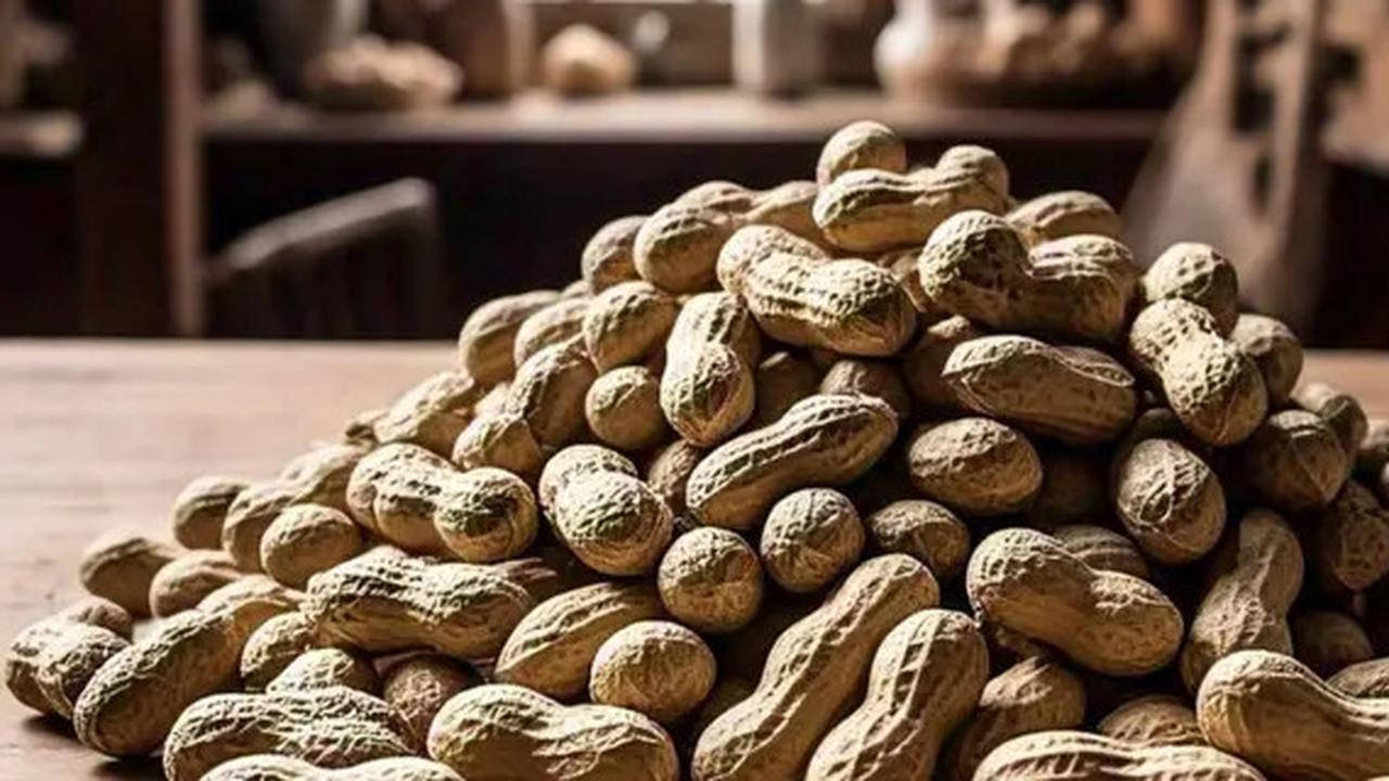 Penderita Asam Urat Boleh Konsumsi Kacang-Kacangan atau Tidak? Berikut Penjelasannya!
