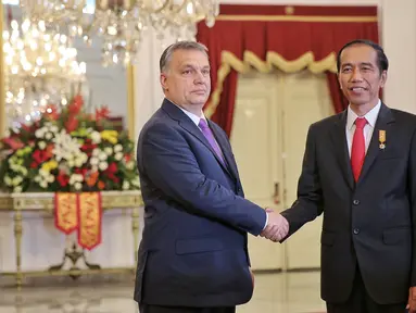 Presiden Joko Widodo bersalaman dengan PM Hongaria, Y.M. Tuan Viktor Orban di Istana Merdeka, Jakarta,  (1/2). Kunjungan tersebut menyepakati sejumlah perjanjian kerjasama kedua negara. (Liputan6.com/Faizal Fanani)