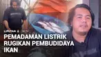 Pemadaman listrik selama hampir 6 jam di Kalimantan Selatan berdampak pada usaha budidaya ikan dengan sistem bioflok. Di Kabupaten Banjar, ratusan ikan nila mati karena aerator berhenti beroperasi saat listrik padam.
