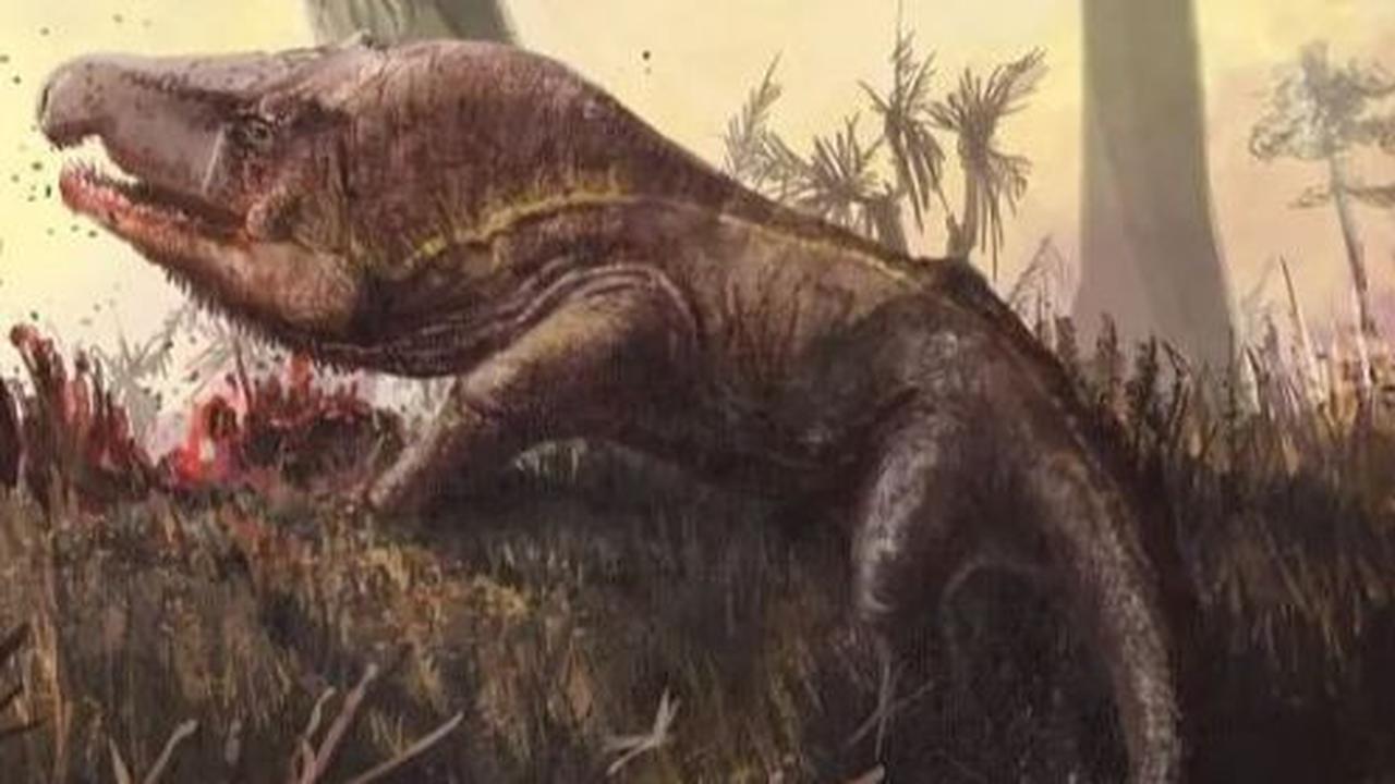 Erythrosuchids hidup antara 250 juta dan 238 juta tahun lalu, selama masa awal periode Triasik (251 juta sampai 199 juta tahun lalu), dikutip dari Live Science, Rabu (12/7).