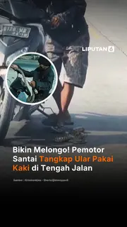 Bikin Melongo! Pemotor Santai Tangkap Ular Pakai Kaki di Tengah Jalan