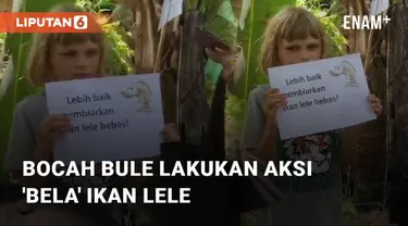Beredar video viral terkait seorang bocah bule yang lakukan aksi unik. Kejadian ini berada di daerah Mengwi, Badung, Bali