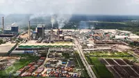 Regulasi Baru Karbon Kehutanan Jadi Angin Segar bagi Industri Pulp dan Kertas