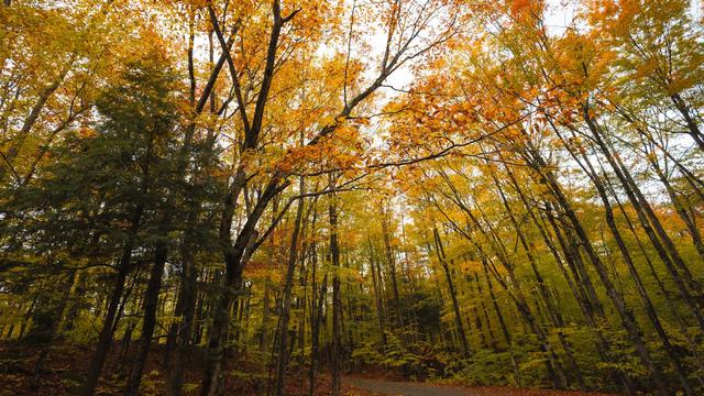 Franconia Notch State Park