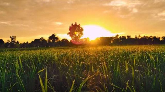 Pasar Pancingan Lombok Bakal Hadirkan Atraksi Baru