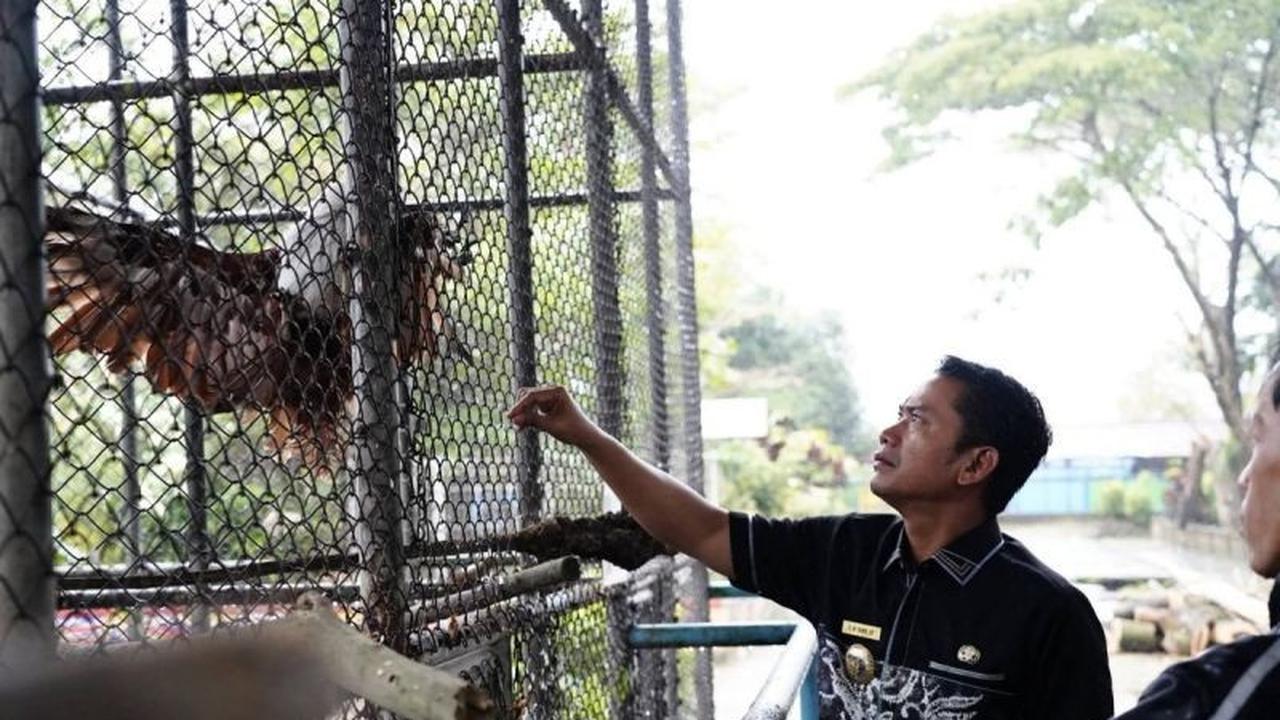 Pemkot Banjarmasin Siapkan Miliaran Rupiah untuk Pembenahan Taman Edukasi Satwa Jahri Saleh