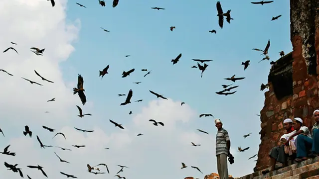 Foto: copyright guardian.com