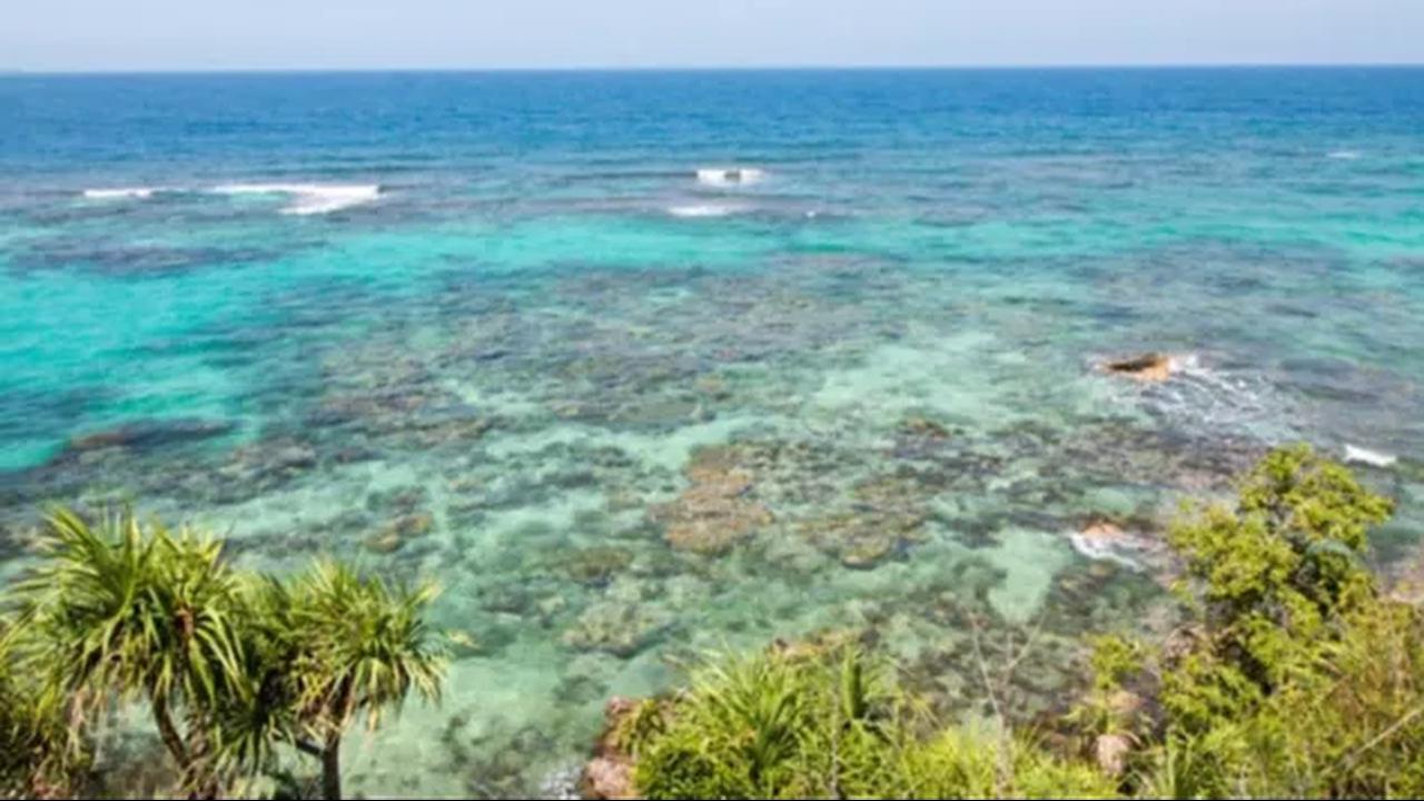Pemulihan ekosistem terumbu karang itu dilakukan dengan berbagai metode salah satunya metode media spider. Jadi media berbentuk jaring diletakkan di dasar laut kemudian dilakukan pembibitan terumbu karang.<br>