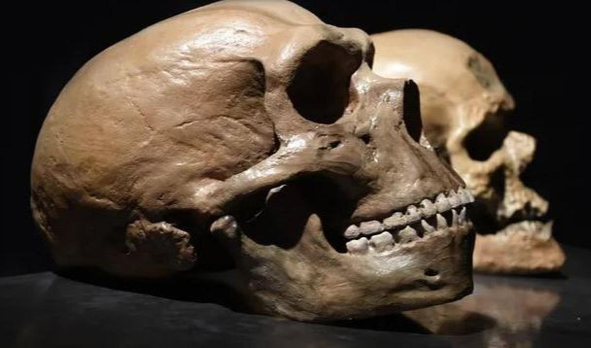 Seperti semua manusia purba, kehidupan Neanderthal akan sangat sulit, sehingga membantu membentuk penampilan mereka.<br>