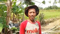 Petani Lampung Dihantui Gagal Panen di Saat Harga Gabah Tinggi